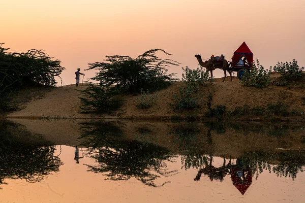 Reflection Camel Cart Man Water — Stock Photo, Image