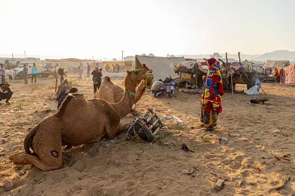 Uma Mulher Seu Camelo Terra Camelo — Fotografia de Stock