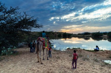 bir deve ve su birikintisi ve mavi dramatik gökyüzü.