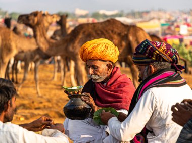 Deveden süt içen yaşlı bir adam. Geleneksel fuar için Rajasthan sürüsünün her yerinden çiftçiler ve tüccarlar..