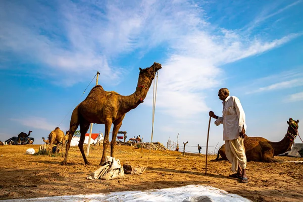 Ein Bauer Aus Rajasthan Steht Mit Seinem Kamel — Stockfoto