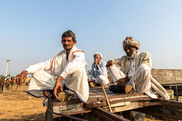 Eine Gruppe Von Drei Personen Auf Einem Holzkarren Beim Kamelfest — Stockfoto