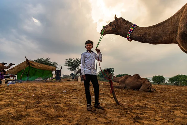 Porträt Eines Rajasthanischen Kameljungen Mit Seinem Kamel Den Sanddünen Der — Stockfoto