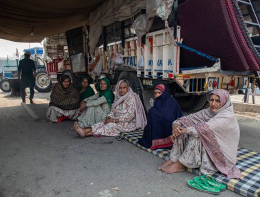 Delhi sınırındaki protesto sırasında Hintli Punjab kadın çiftçilerinin portreleri.