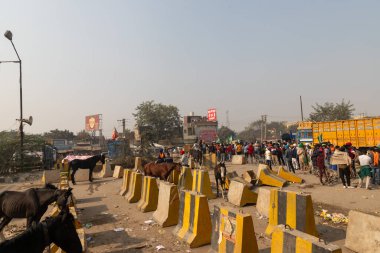 Delhi sınırındaki Nihang Sikhs, Hindistan hükümetinin geçirdiği yeni tarım yasasını protesto ediyorlar..