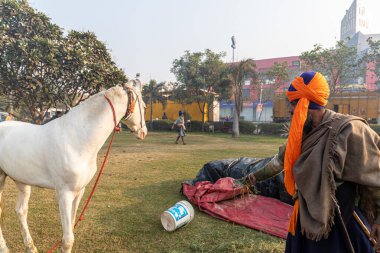 Delhi sınırında bir Nihang Sikh 'in atıyla birlikte portresi, Hint hükümetinin geçirdiği yeni tarım kanununu protesto ediyorlar..