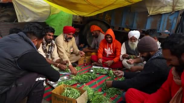 Αγρότες Που Παράγουν Τρόφιμα Στα Σύνορα Του Δελχί Κατά Διάρκεια — Αρχείο Βίντεο