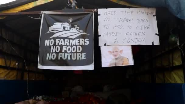 他们抗议印度政府颁布的新的农业法 — 图库视频影像