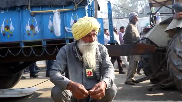 Agriculteurs Lors Manifestation Frontière Singhu Ils Protestent Contre Nouvelle Loi — Video