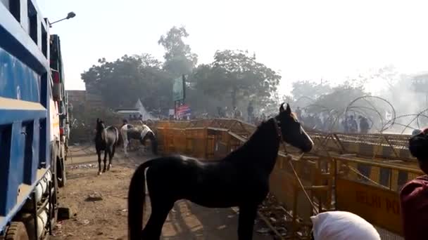 Rolnicy Podczas Protestu Granicy Singhu Protestują Przeciwko Nowemu Prawu Rolnemu — Wideo stockowe
