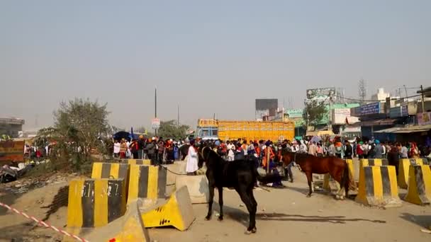 Januari 2021 Delhi Indianenboeren Tijdens Het Protest Aan Grens Van — Stockvideo