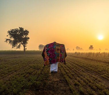 Güneş doğarken tarlalarında yaşlı bir çiftçinin silueti..