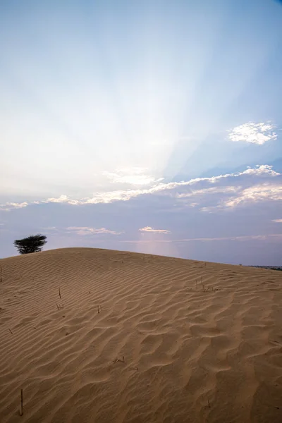 Piękny Widok Pustynię Thar Promienie Słońca Niebieskiej Godzinie Zachodzie Słońca — Zdjęcie stockowe