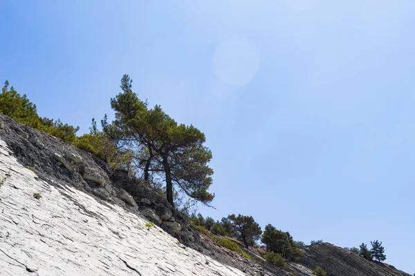 Μια Κορυφή Βράχου Δέντρα Ένα Φωτεινό Γαλάζιο Ουρανό Ανταύγειες Στον — Φωτογραφία Αρχείου