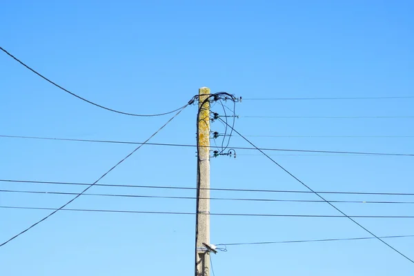 Pylon e cabos — Fotografia de Stock