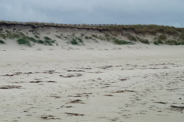 Beach — Stock Photo, Image