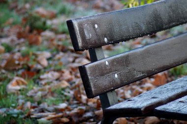 Ahşap park bankında