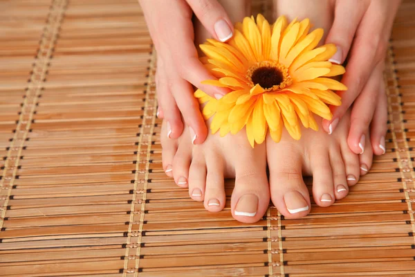 Pflege für schöne Frauenbeine mit Blume — Stockfoto