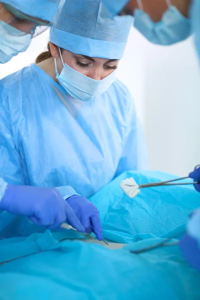 Equipe de cirurgia jovem na sala de cirurgia — Fotografia de Stock