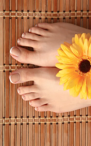 Dbać o nogi piękne kobiety z kwiatem — Zdjęcie stockowe