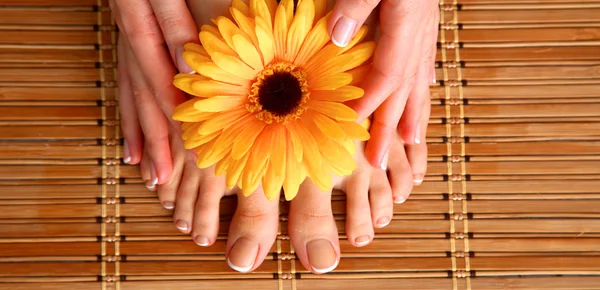 Pflege für schöne Frauenbeine mit Blume — Stockfoto