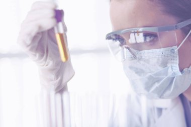 Modern laboratuvar veya hastanede plastik tıbbi tüplerle çalışan araştırmacı, doktor, bilim adamı veya laboratuvar asistanı