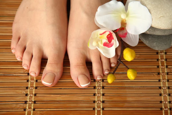 Pflege für schöne Frauenbeine mit Blume — Stockfoto