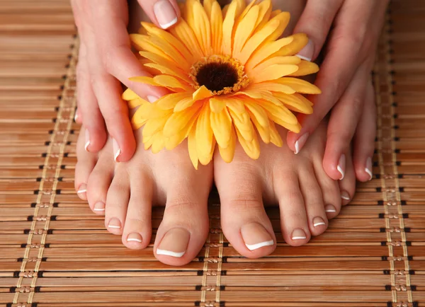 Güzel kadın bacakları ile çiçek Bakımı