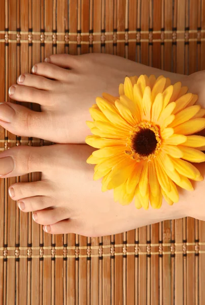 Dbać o nogi piękne kobiety z kwiatem — Zdjęcie stockowe