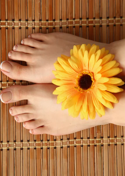 Pflege für schöne Frauenbeine mit Blume — Stockfoto