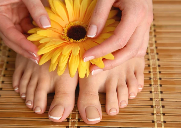 Care for beautiful woman legs with flower — Stock Photo, Image