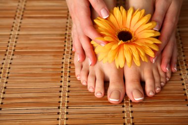 Güzel kadın bacakları ile çiçek Bakımı