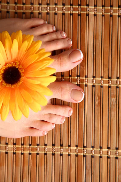 Zorg voor mooie vrouw benen met bloem — Stockfoto