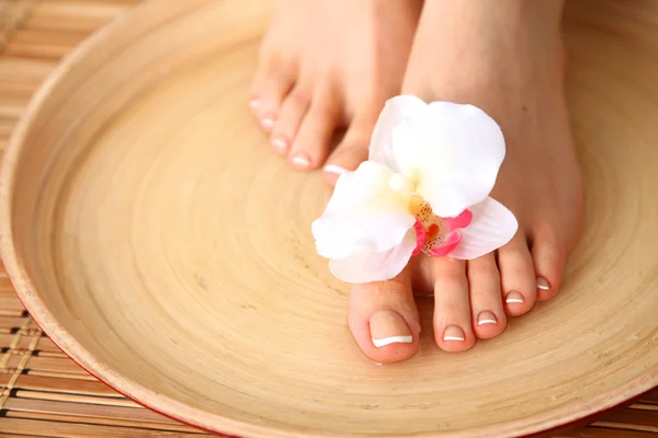 Pflege für schöne Frauenbeine mit Blume — Stockfoto