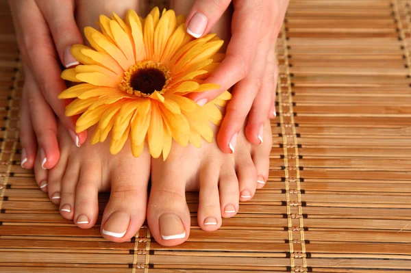 Care for beautiful woman legs with flower — Stock Photo, Image