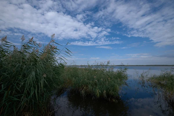 Azul Lago Céu Azul Grama Verde — Fotografia de Stock