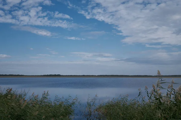 Margem Lago Sem Nome — Fotografia de Stock