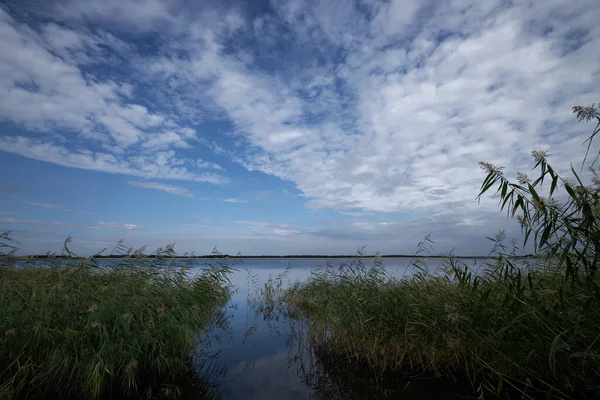 Azul Lago Céu Azul Grama Verde — Fotografia de Stock