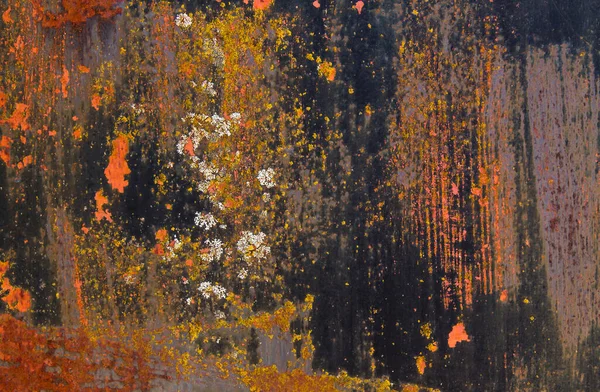 Ancienne Plaque Métallique Corrodée Avec Lichens Fond Texture Grunge — Photo