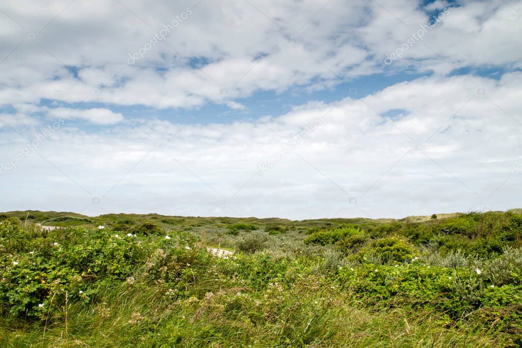 Dunes of Texel National Park landscape
