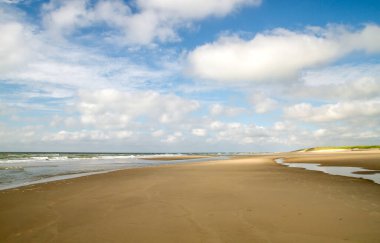 Dunien van Texel Ulusal Parkı 'ndaki kumsal, Kuzey denizi, Hollanda 