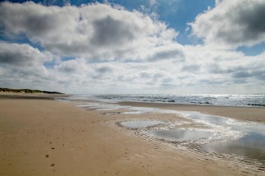 Dunien van Texel Ulusal Parkı 'ndaki kumsal, Kuzey denizi, Hollanda