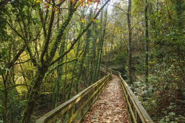 Mao Nehri Kanyonu 'ndaki tahta geçit, Ribeira Sacra, Galiçya, İspanya