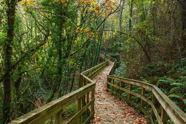 西班牙加利西亚Ribeira Sacra Mao River Canyon的木制人行道 — 图库照片