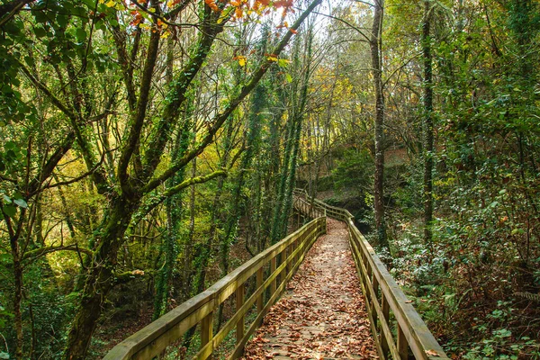 Wooden Walkway Mao River Canyon Ribeira Sacra Galicia Spain — Stock Photo, Image