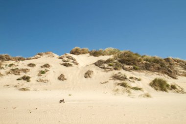 Kum tepeleri ve mavi gökyüzü 
