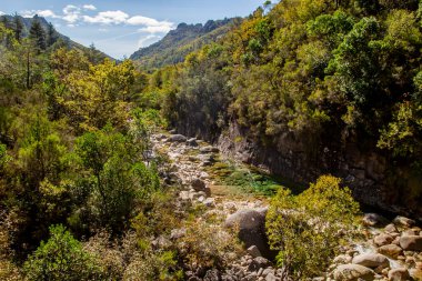 Portekiz, Peneda Geres Ulusal Parkı 'nda sonbahar manzarası 