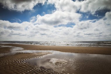 Dunien van Texel Ulusal Parkı 'ndaki kumsal, Kuzey denizi, Hollanda