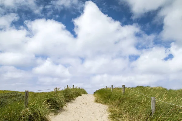 Chemin Dans Les Dunes Parc National Texel — Photo