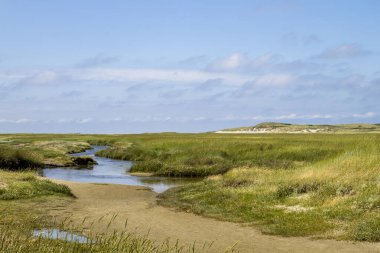 De Slufter doğa koruma alanındaki bataklık manzarası, Hollanda 'nın kuzeyindeki Texel adasındaki Nationaal Park Duinen van Texel